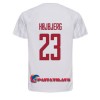 Virallinen Fanipaita Tanska Pierre-Emile Hojbjerg 23 Vieraspelipaita MM-Kisat 2022 - Miesten